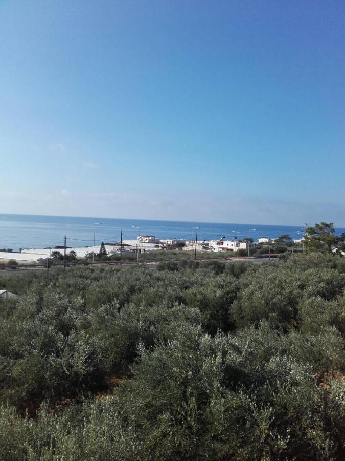 Pericles Traditional Cretan Home Stavrokhorion Екстер'єр фото